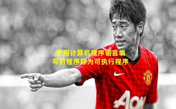 使用计算机程序语言编写的程序称为可执行程序
