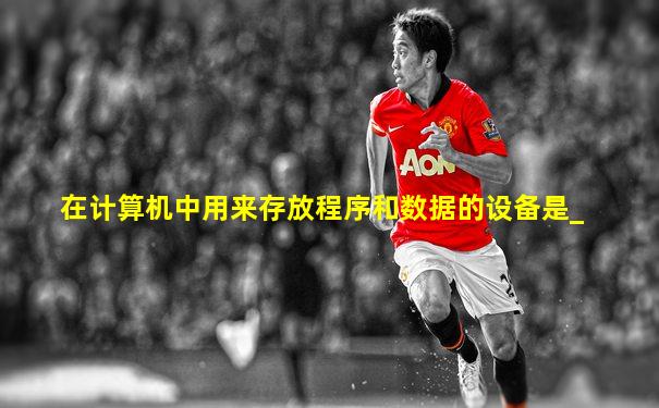 在计算机中用来存放程序和数据的设备是_