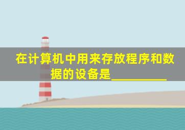 在计算机中用来存放程序和数据的设备是_________