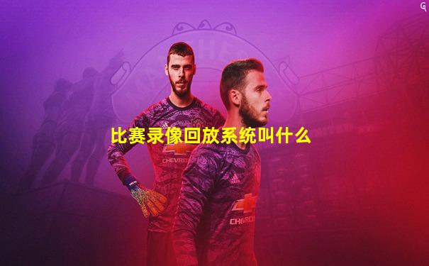比赛录像回放系统叫什么