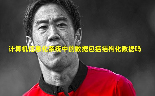 计算机信息化系统中的数据包括结构化数据吗