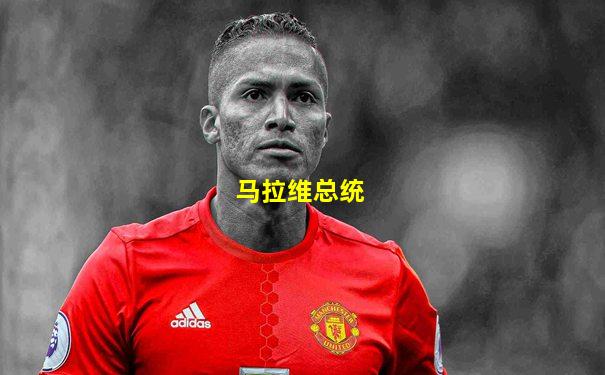 马拉维总统