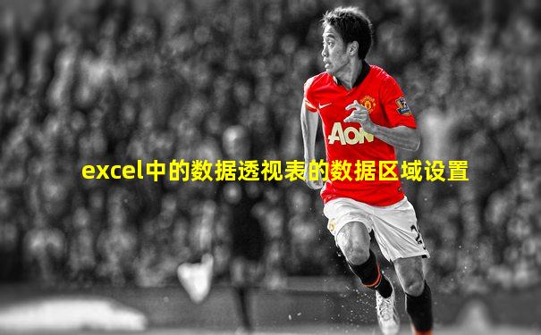 excel中的数据透视表的数据区域设置