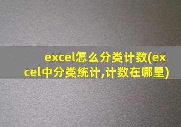 excel怎么分类计数(excel中分类统计,计数在哪里)