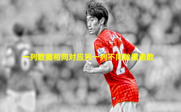 一列数据相同对应另一列不同数据函数