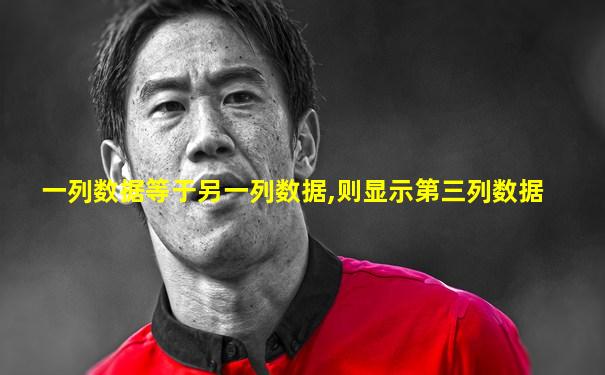 一列数据等于另一列数据,则显示第三列数据