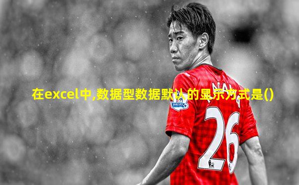 在excel中,数据型数据默认的显示方式是()