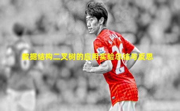 数据结构二叉树的应用实验总结与反思